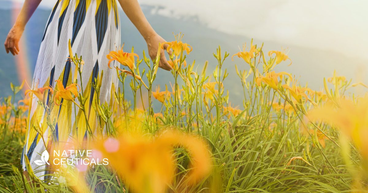 Hero image of a woman walking through a wildflower field, representing Native Ceuticals' nature-inspired wellness philosophy