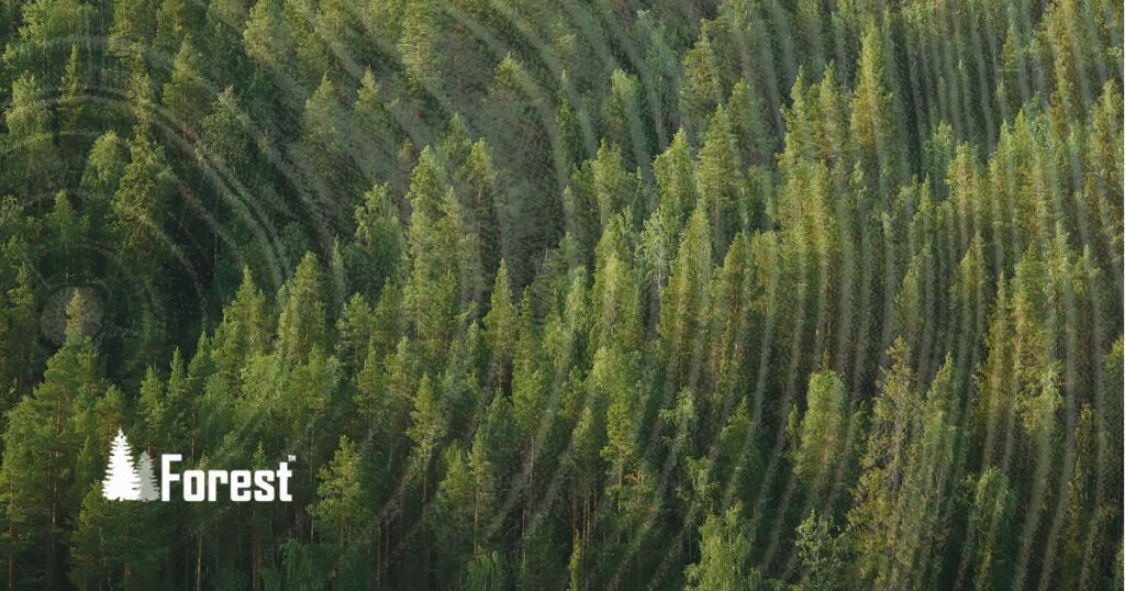 The Forest Systems logo with tree circles represents various facets of accounting software, symbolizing comprehensive financial services. Molo revamped the financial services web design for Forest Systems, emphasizing the integration of nature and technology to enhance user experience.