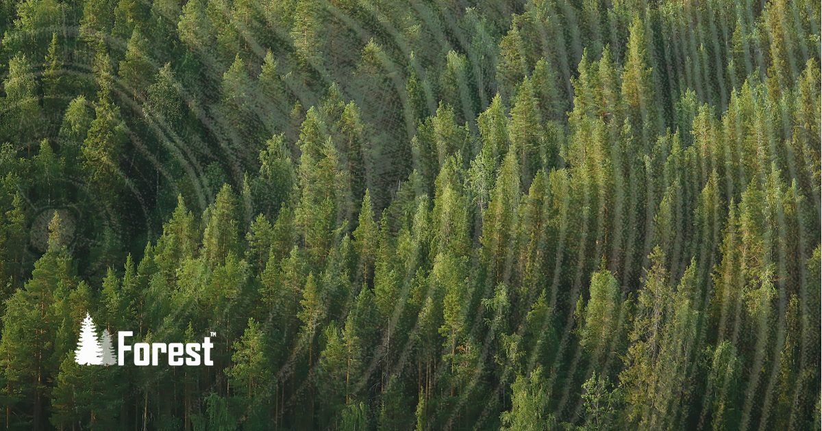 The Forest Systems logo with tree circles represents various facets of accounting software, symbolizing comprehensive financial services. Molo revamped the financial services web design for Forest Systems, emphasizing the integration of nature and technology to enhance user experience.