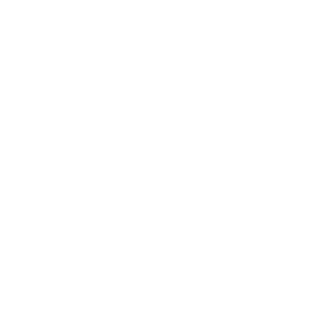 Peak Limo, a client of TMG Marketing Partners, a creative marketing agency.