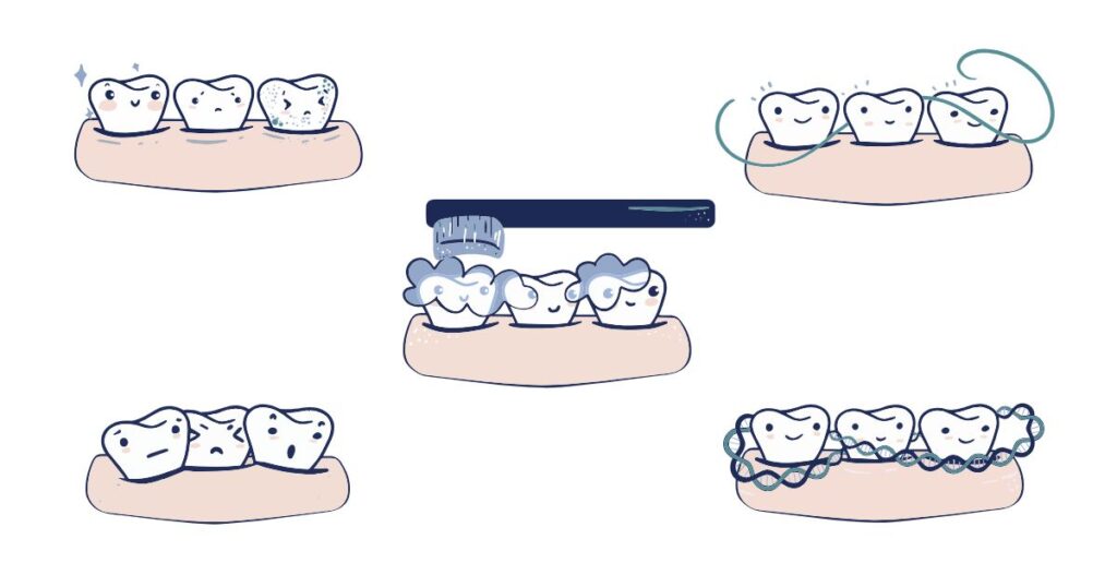 Tooth care cartoon showing brushing, flossing, and dental hygiene practices for educational healthcare content.