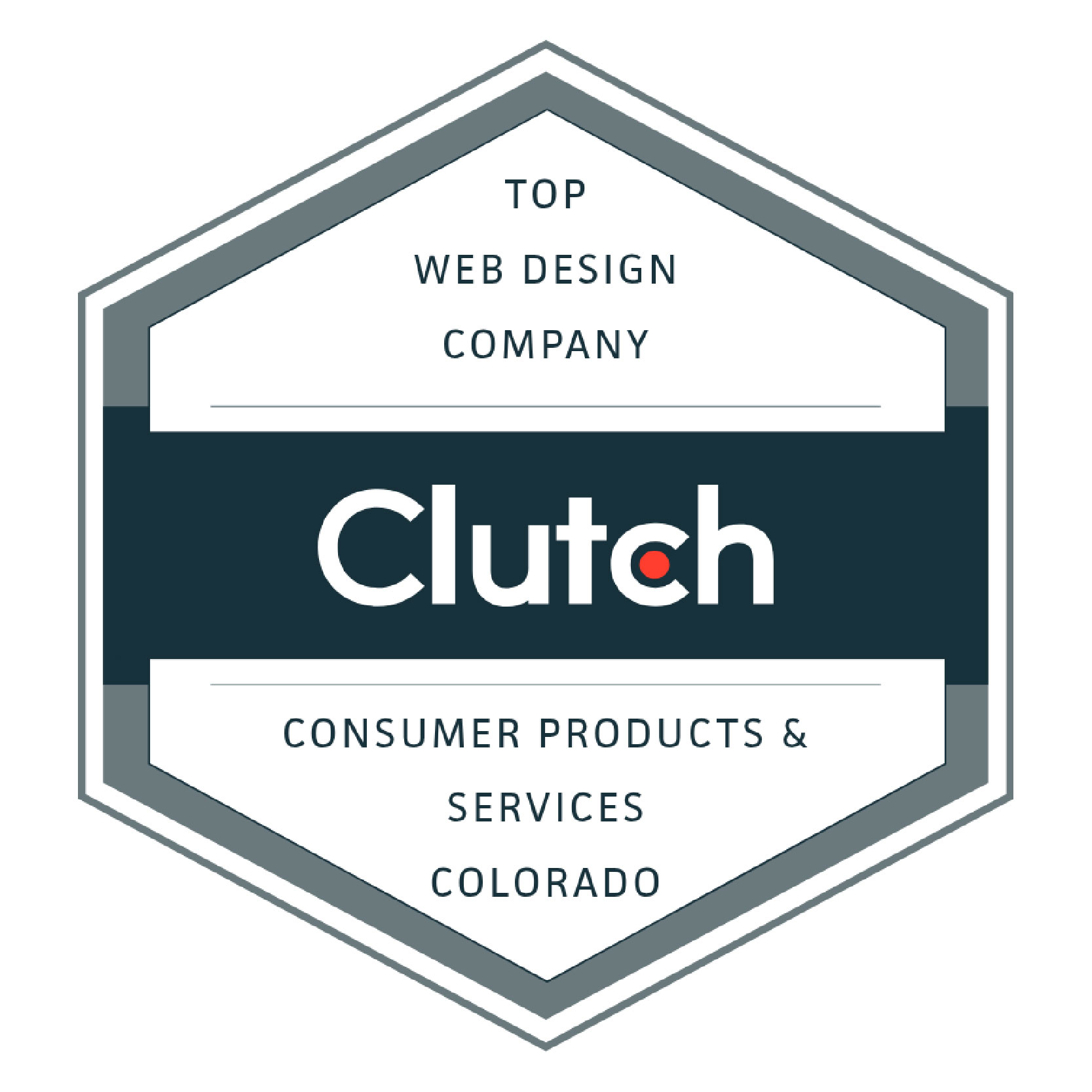 TMG is a Clutch 2025 Award winner for Top Web Design Company