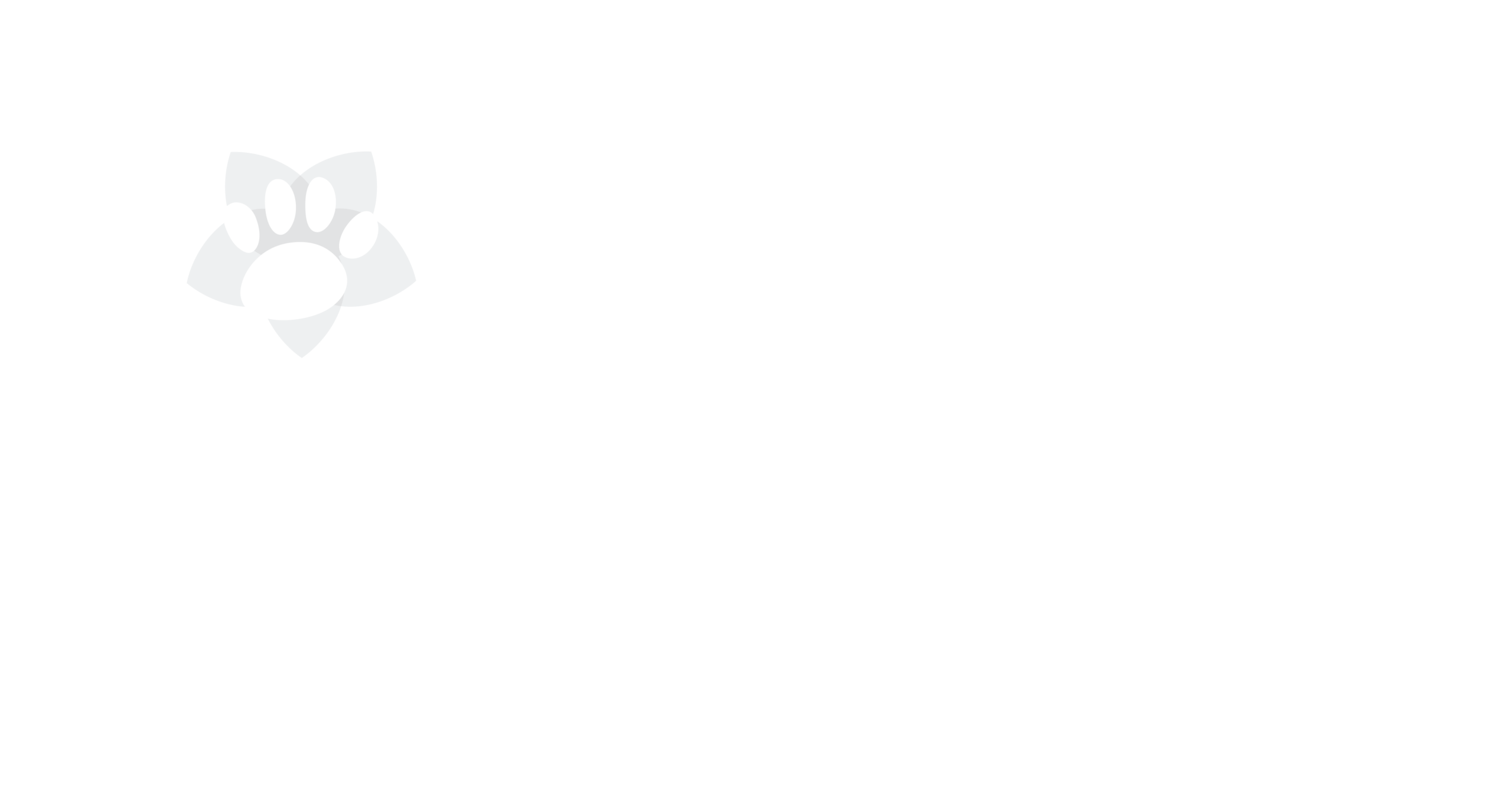 Dr Matt Parker Holistic Functional Veterinarian